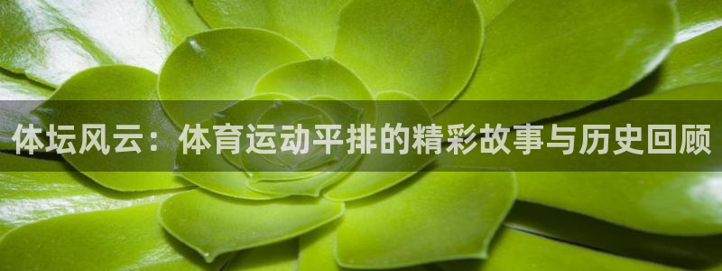 k1体育 十年品牌