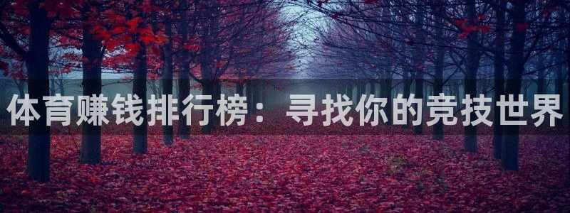 k1体育入口：体育赚钱排行榜：寻找你的竞技世界