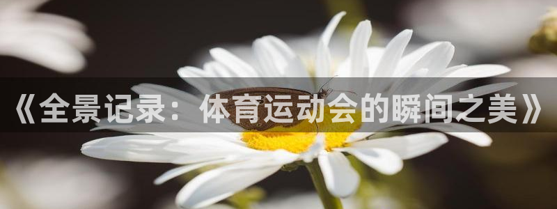 k1体育入口