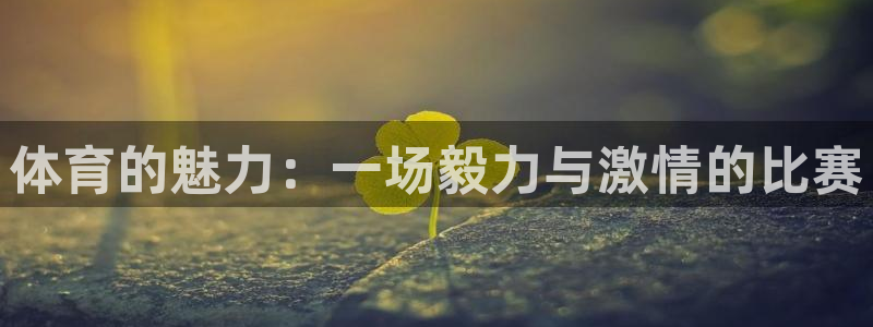 k1体育平台最新网站下载